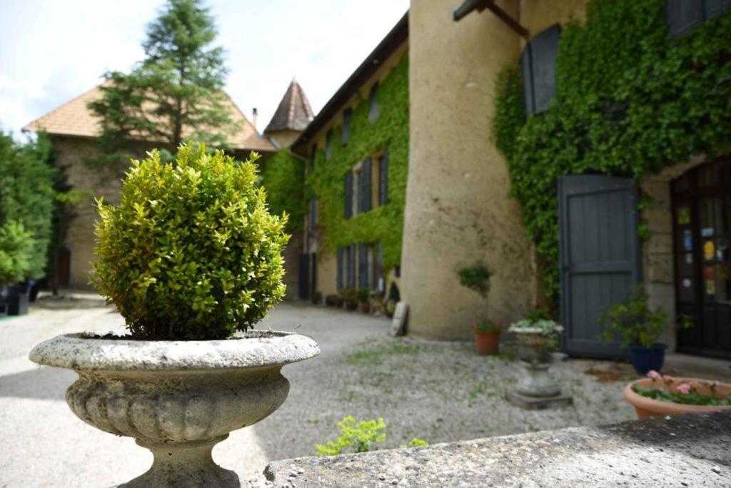 Chateau De Passieres Chichilianne Zewnętrze zdjęcie